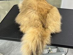 -爱洗澡的猫(天河路店)