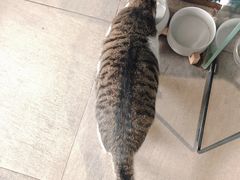 -UNI UNI(环亚凯瑟琳店)