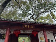 -秋霞圃