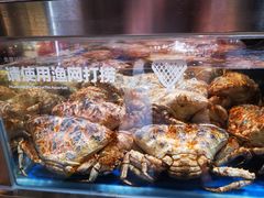 -盒马X会员店(王府井奥莱UP TOWN店)