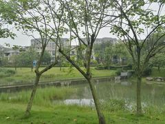 -两河城市森林公园