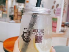 莫吉托含酒精-藏猫猫咖啡主题馆(中央大道店)