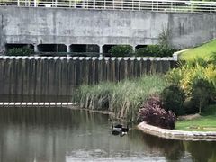 -厦门国家会计学院