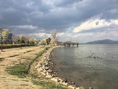 -洱海月湿地公园