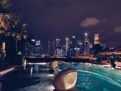 -新加坡文华东方酒店