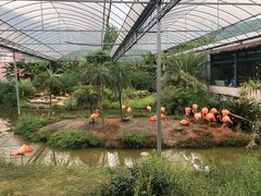 -无锡动物园·太湖欢乐园
