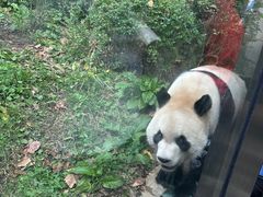 -黔灵山公园