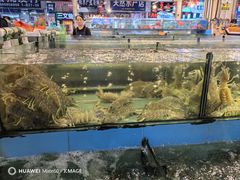 -华威西营里农产品批发市场