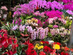 -三旗百汇商品城