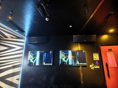 -唱吧麦颂KTV(萧山加州阳光广场店)