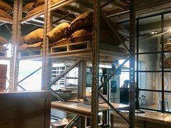 面包甜点陈列柜-来回·咖啡(钟村咖啡豆店)