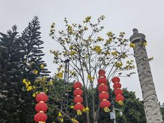 -南沙天后宫景区