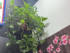 -李先生牛肉面大王(郑州火车站西广场2店)