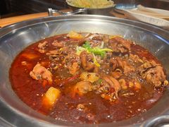 -成老灶火锅鸡(高东街店)