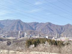 -白水寺森林公园