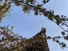 -迎泽公园