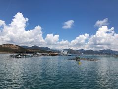 -南丫岛