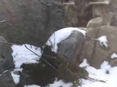 -汉拿山温泉度假酒店