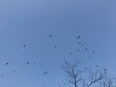 -西湖风景区-江洋畈生态公园