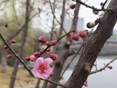 -河海大学(江宁校区)