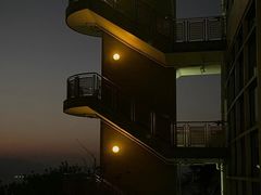 -香港大学