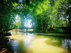 -桤木河湿地公园