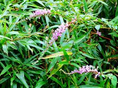 -会稽山峡洞漂流-上青古道