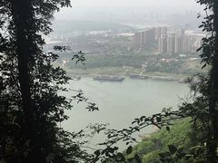 -铁山坪森林公园