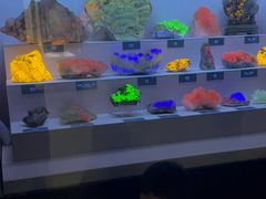 -湖南省地质博物馆