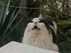 -自由生长植物工作室(深港花卉中心店)