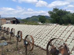 -楠溪江风景名胜区