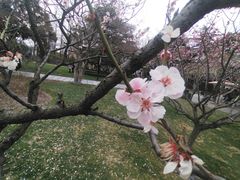 -南通博物苑-崇川人民公园