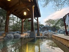 -和园景逸大酒店朗月汤泉