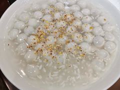 -外滩1288花园丽舍