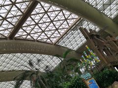 -杭州开元森泊度假乐园