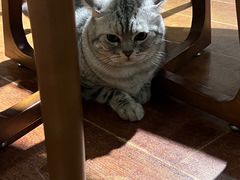 -H立方实景剧情密室(天河旗舰店)