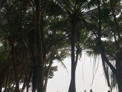 -深圳湾公园(南山区)