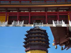 -梅园