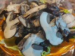 -菌海森林·非遗野生菌火锅(西山区滇池路摩根道店)