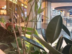-烹然四季椰子鸡火锅(姚家园万象汇店)