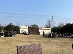 -洪湖家庭农场·团建·露营·会议