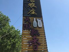 -仙店农庄(湖景农庄餐厅)