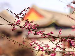 -北海公园