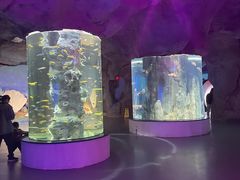 -福州罗源湾海洋世界旅游区