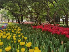 -石家庄市植物园