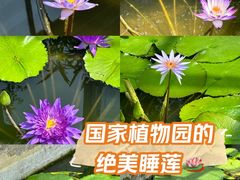 -国家植物园
