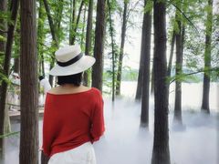 -东湖落雁景区