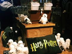 -九又四分之三站台