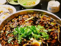 特色红油锅-川道拐耗儿鱼(置信路店)