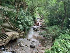 -峨眉山报国寺